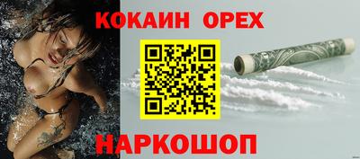 стафф Донской