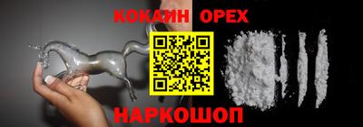 стафф Донской
