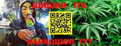 стафф Донской