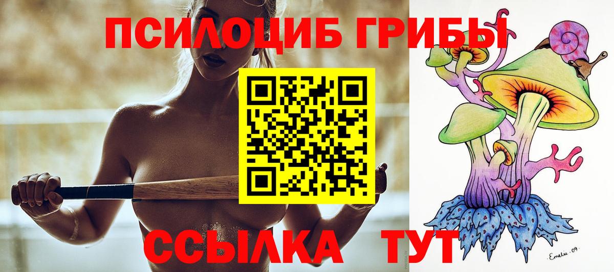 Псилоцибиновые грибы ЛСД  Галлюциногенные грибы Psilocybine cubensis  купить наркоту  Вход с VPN  Кызыл 